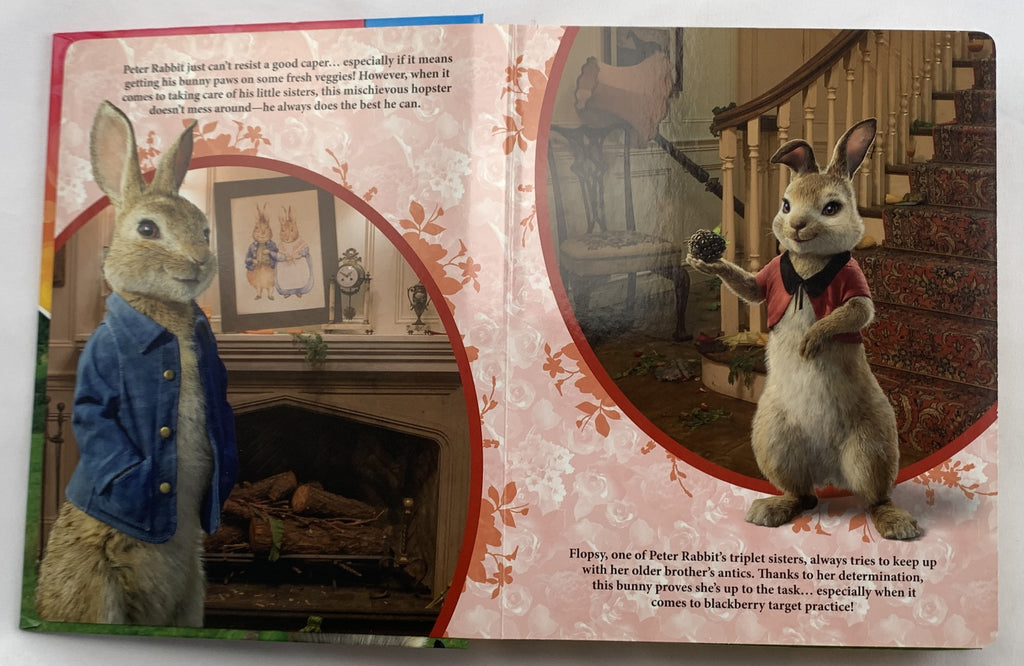 Peter Rabbit My Busy Book - 2016 - Great Condition | Mandi's Attic Toys
