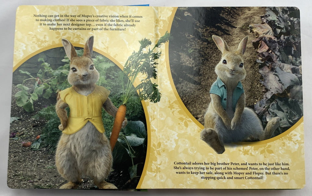 Peter Rabbit My Busy Book - 2016 - Great Condition | Mandi's Attic Toys