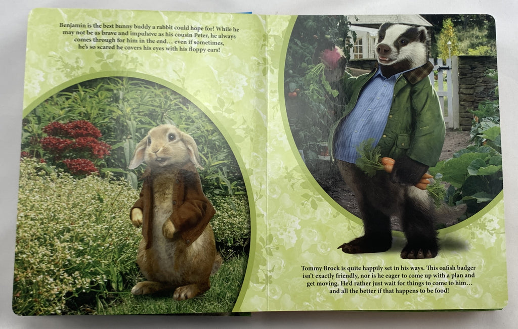 Peter Rabbit My Busy Book - 2016 - Great Condition | Mandi's Attic Toys