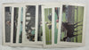 Let's Go to the Races Game - 1987 - Parker Brothers - Good Condition