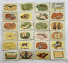 Cowboy Lotto Game - Milton Bradley - 1958 - Good Condition
