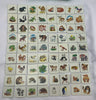 Memory Animal Families Game - 1986 - Milton Bradley - Great Condition