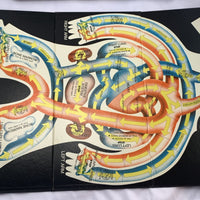 Circulation: An Incredible Journey Game - 1974 - Teaching Concepts - Great Condition