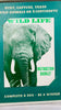 Wild Life Game - 1972 - E.S. Lowe - Great Condition