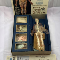 Visible Woman Model Kit - Renal - 1960 - Great Condition