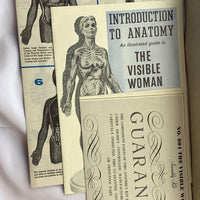 Visible Woman Model Kit - Renal - 1960 - Great Condition