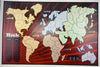 Risk Game - 2008 - Hasbro - Great Condition